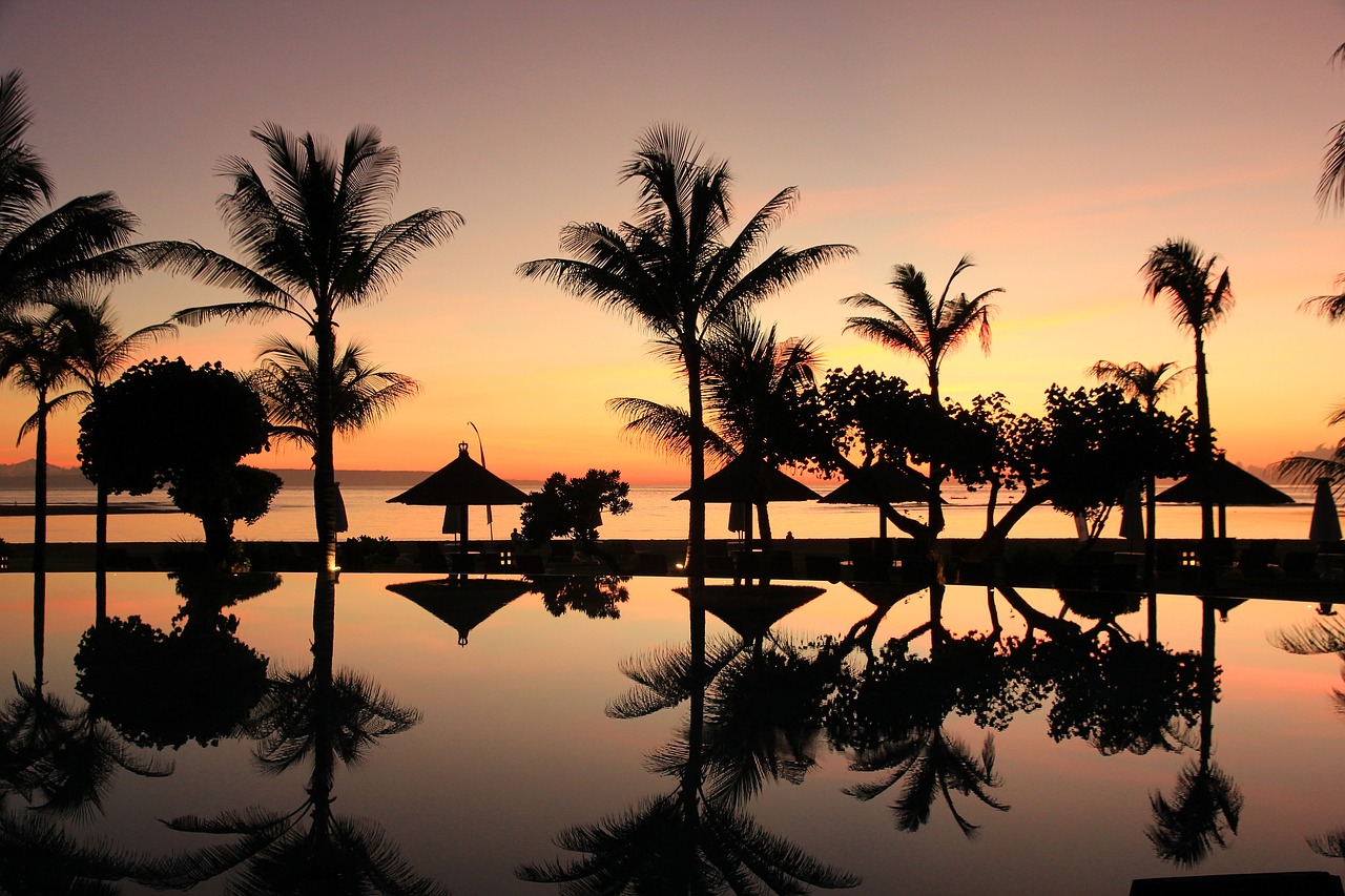 bali palm trees sunset free photo