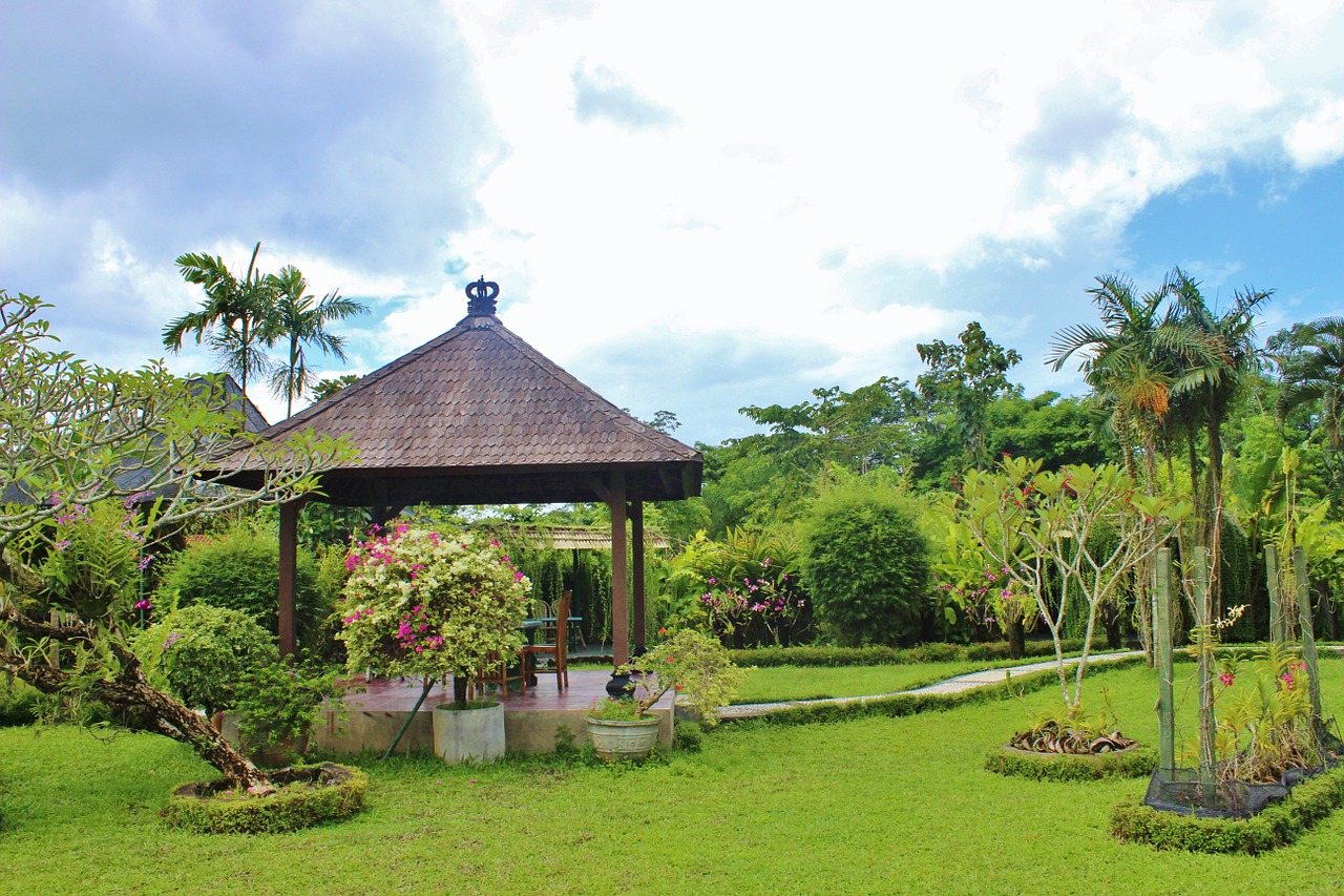 bali orchid garden flora free photo