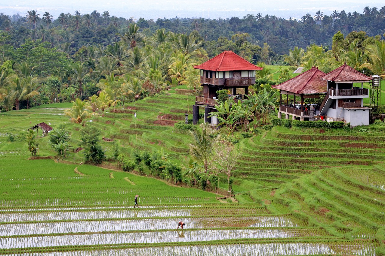 bali  landscape free pictures free photo