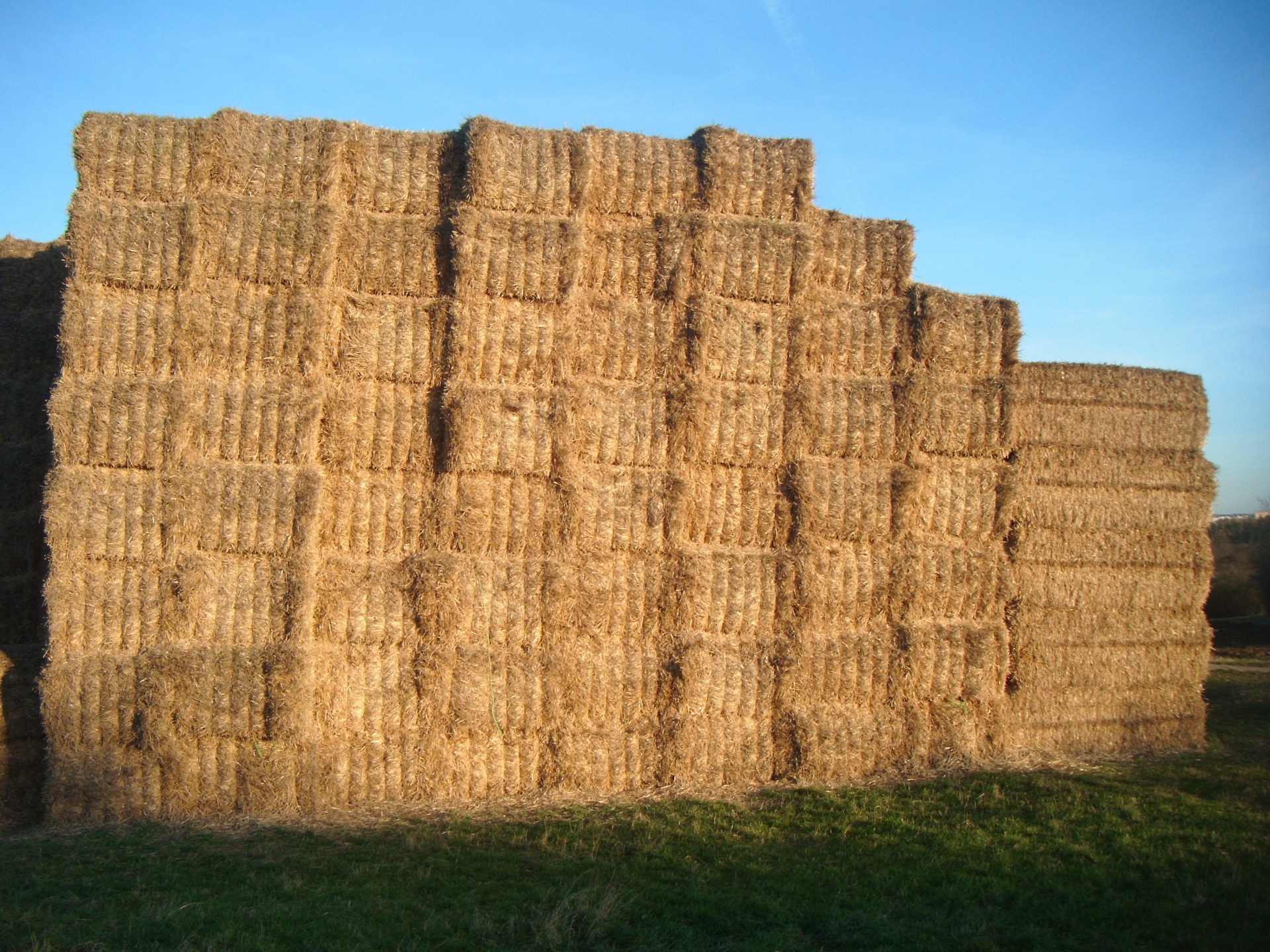 hay bales fields free photo