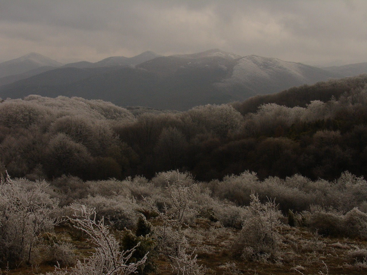 balkan mountain snow winter free photo