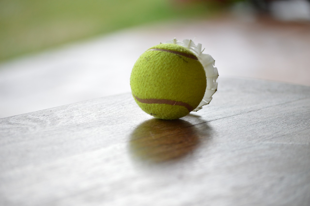 tennis ball ball table free photo