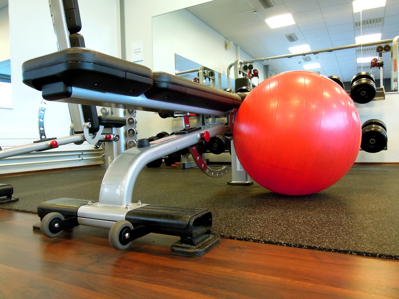 ball gym ball in the gym free photo