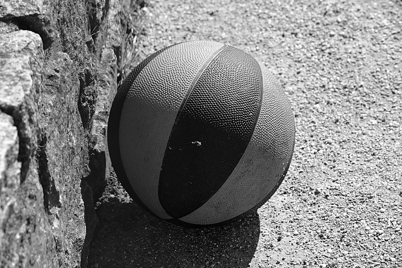 ball basketball sport free photo