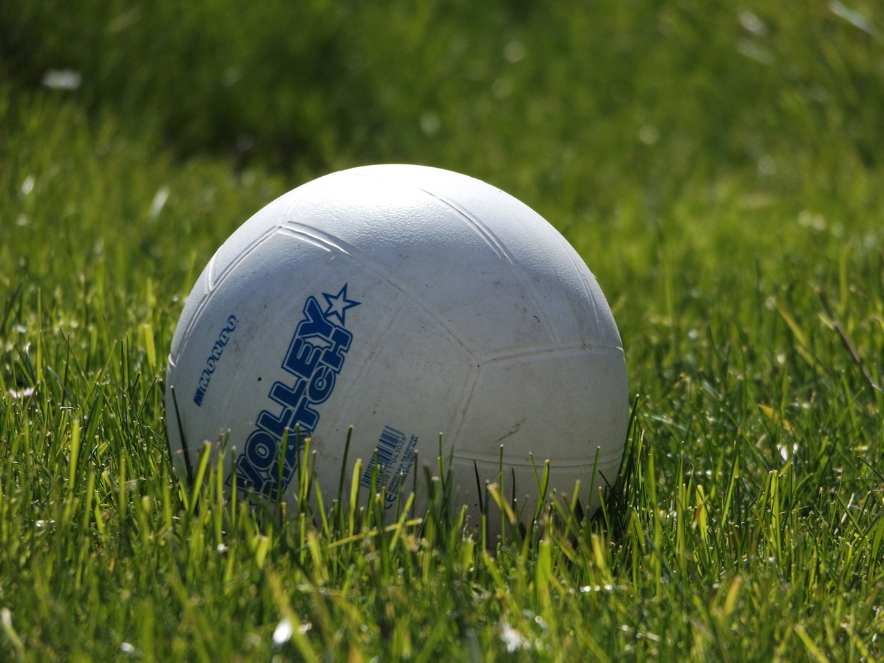 ball round grass free photo