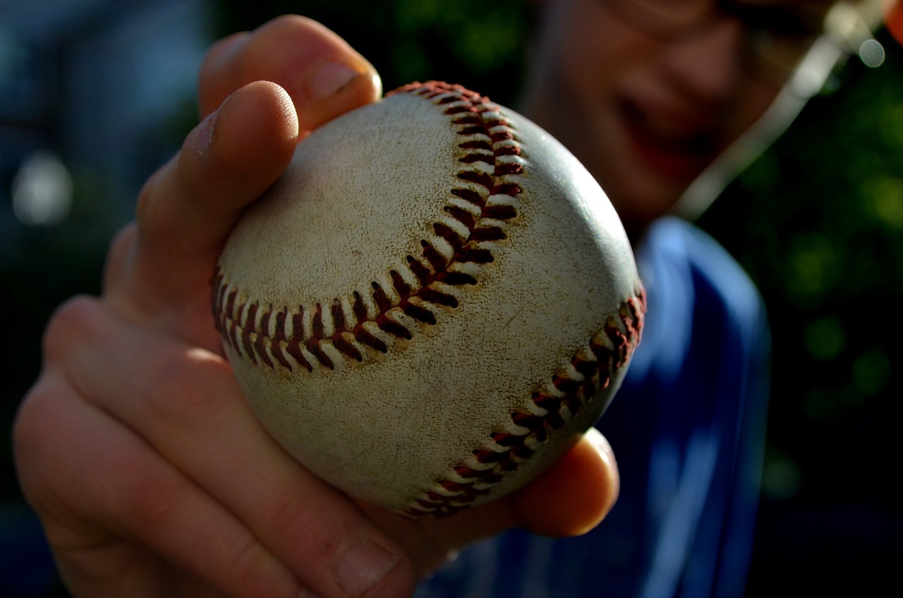 ball baseball sports free photo