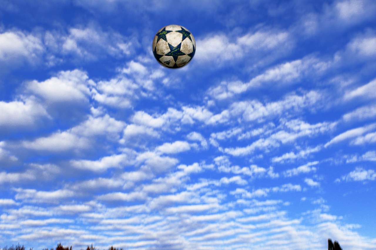 ball sky sports balls free photo