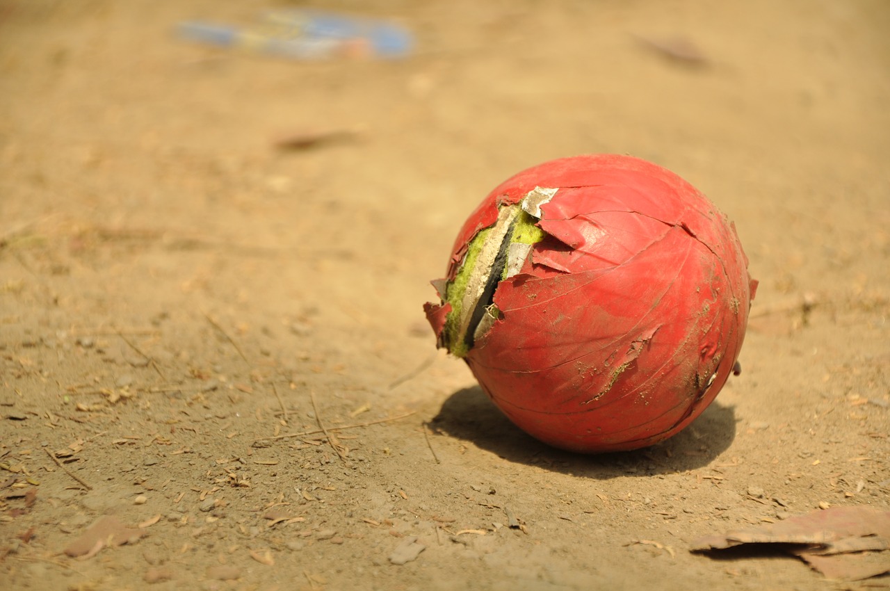 ball cricket game free photo