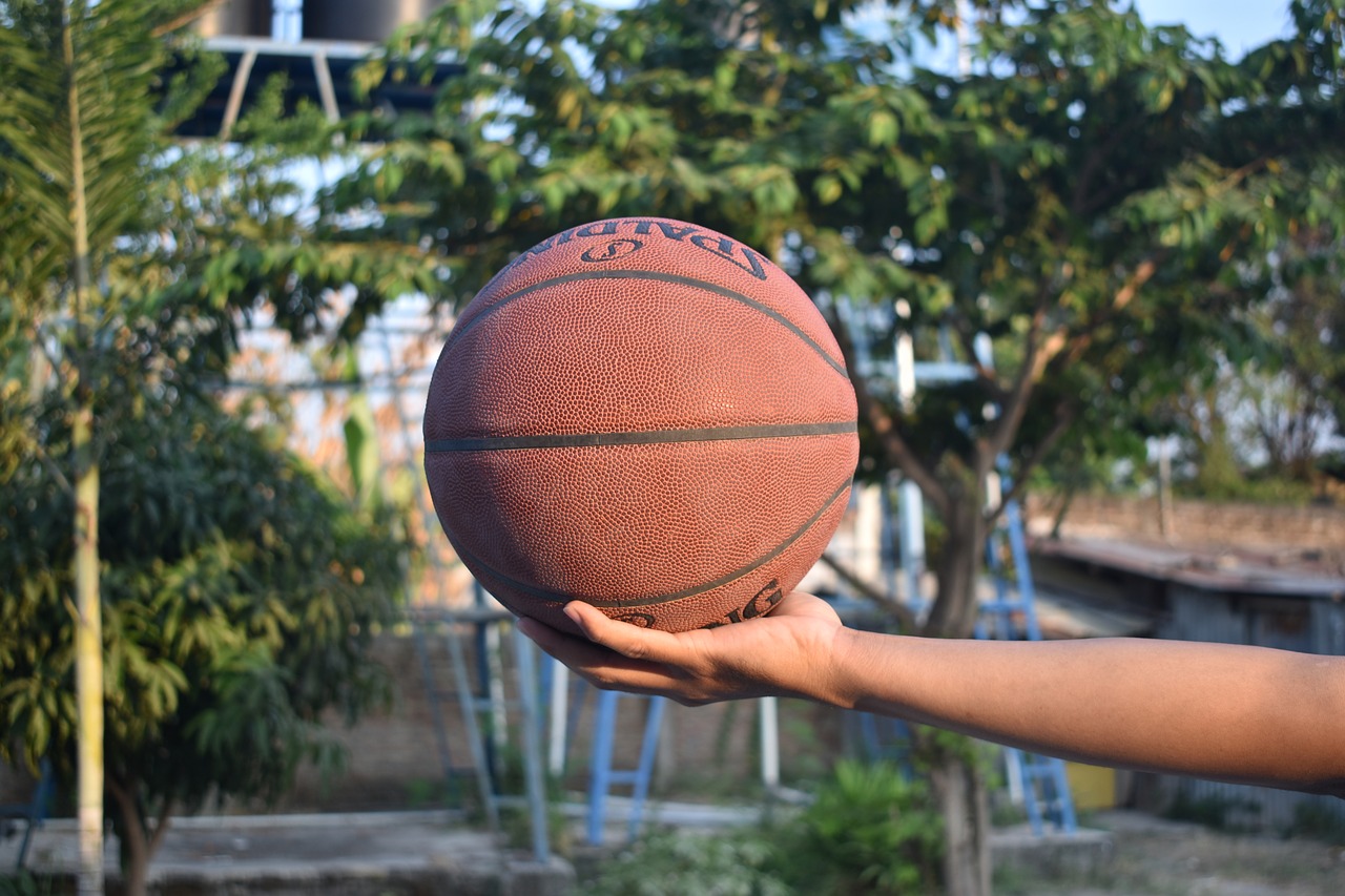 ball basketball sport free photo