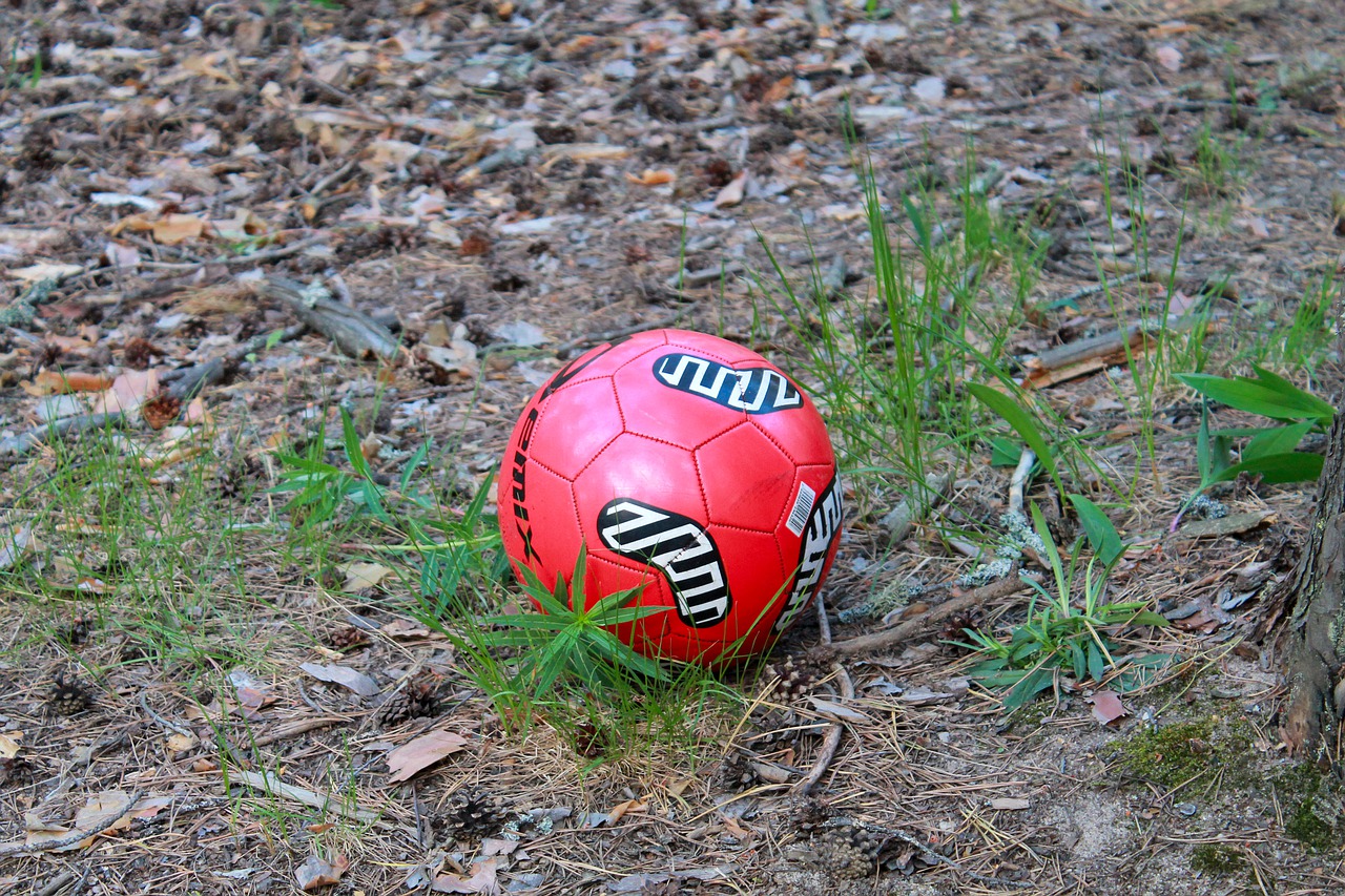 ball toys football free photo