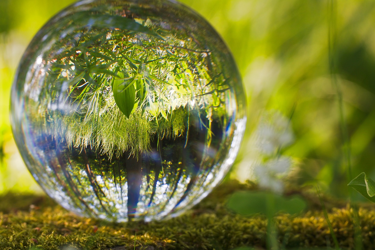 ball environment grass free photo