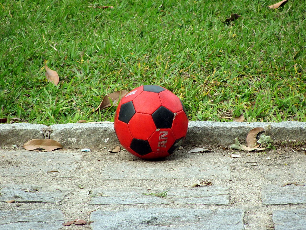 ball soccer ball football free photo