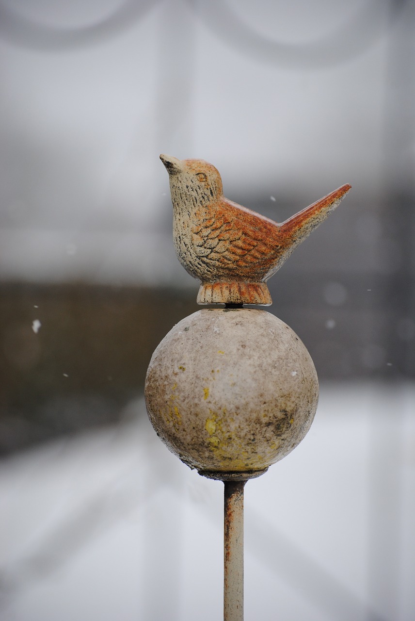 ball bird garden decoration free photo