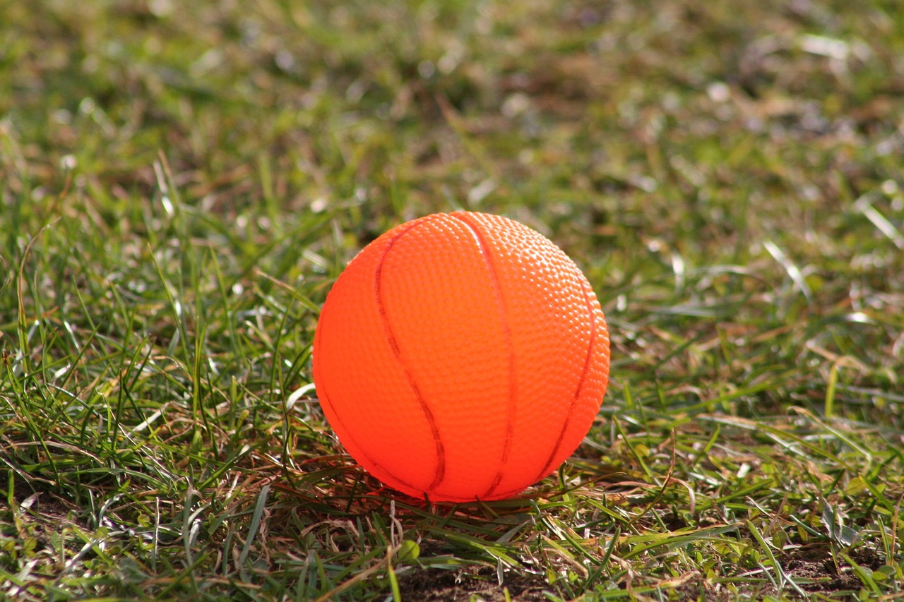 ball orange grass free photo