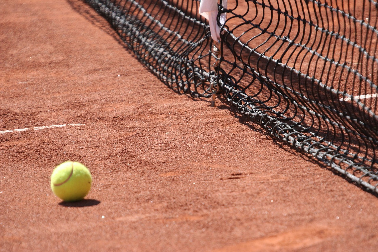 ball tennis net free photo