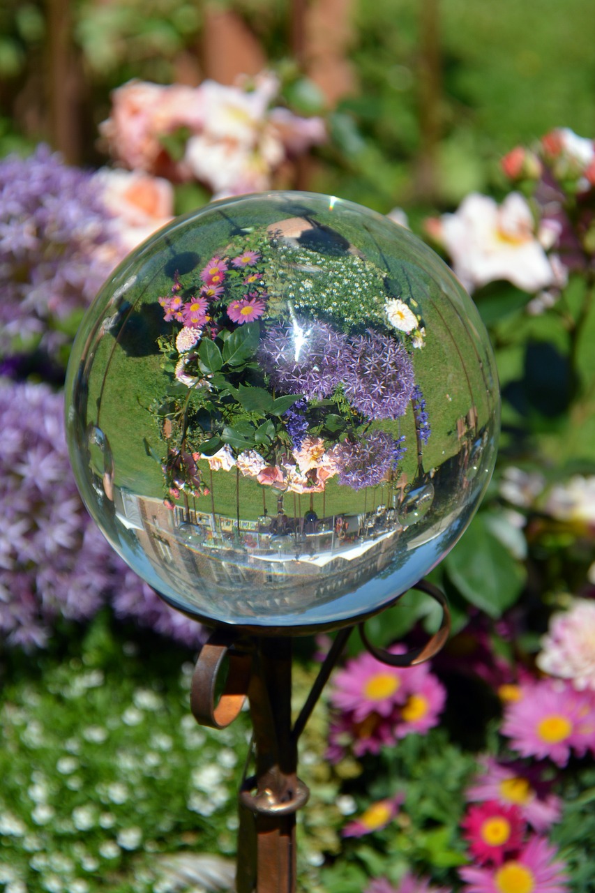 ball decoration reflection flowers free photo