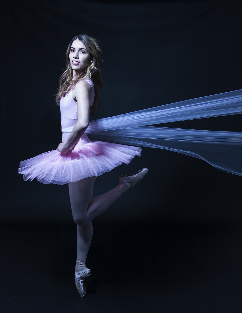 ballerina  dancer  portrait free photo