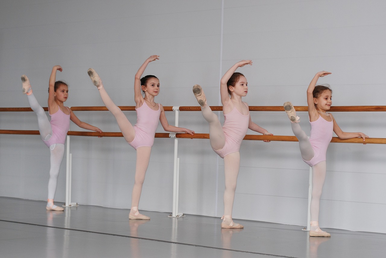 ballet  school  class free photo