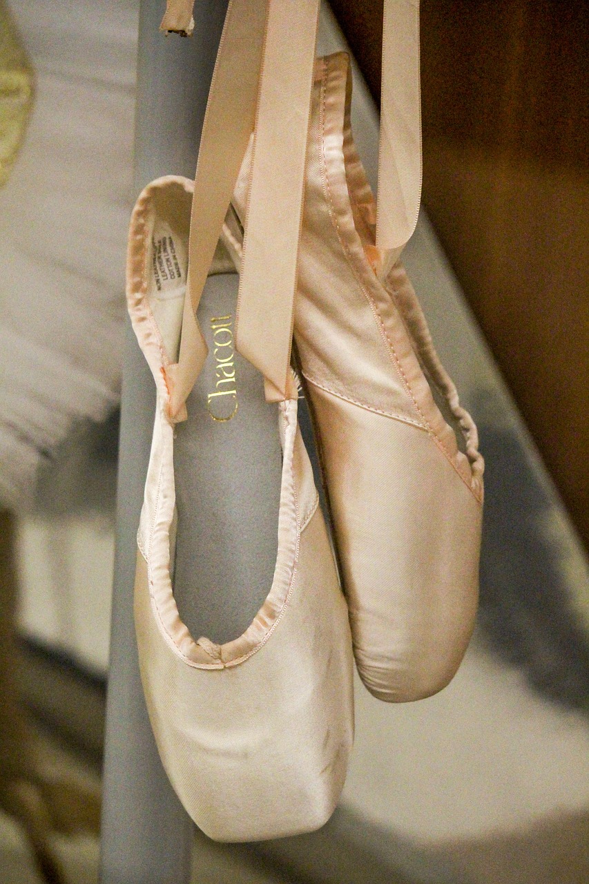 ballet  fashion  wear free photo