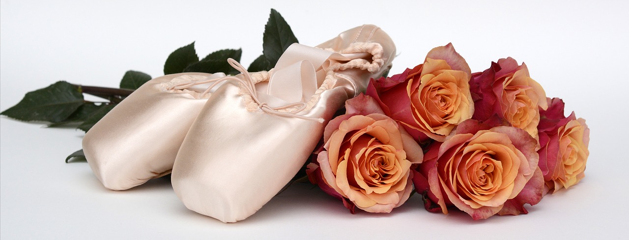 ballet shoes dance roses free photo