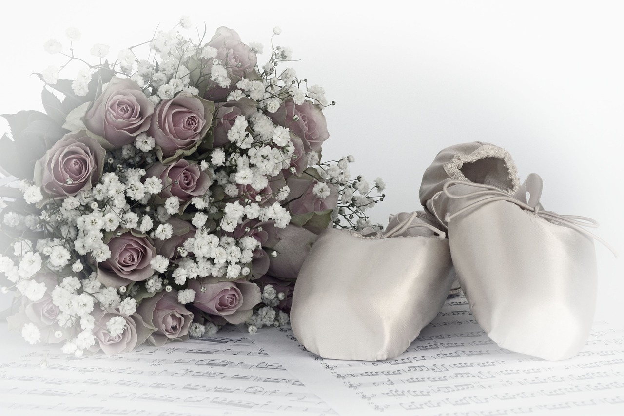 ballet shoes dance roses free photo