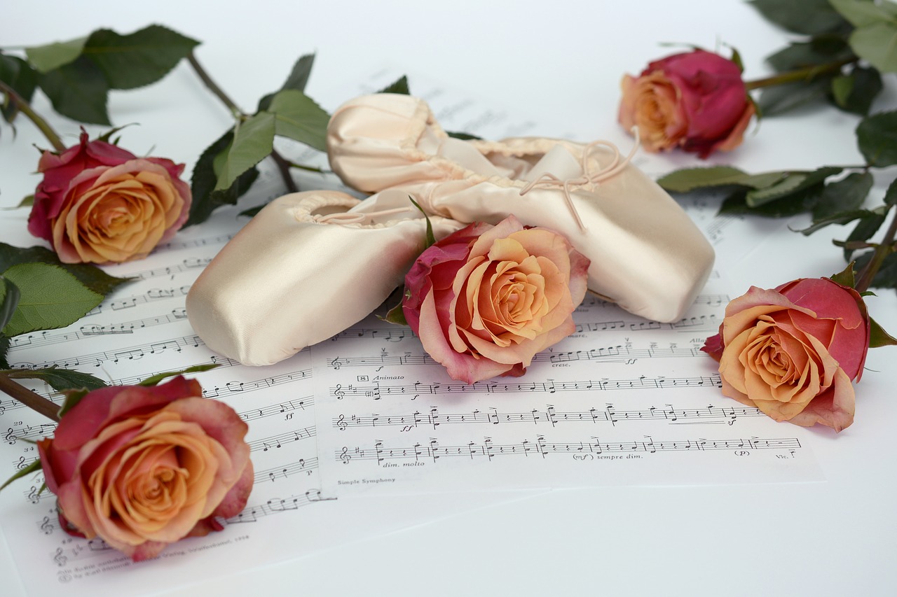 ballet shoes dance roses free photo