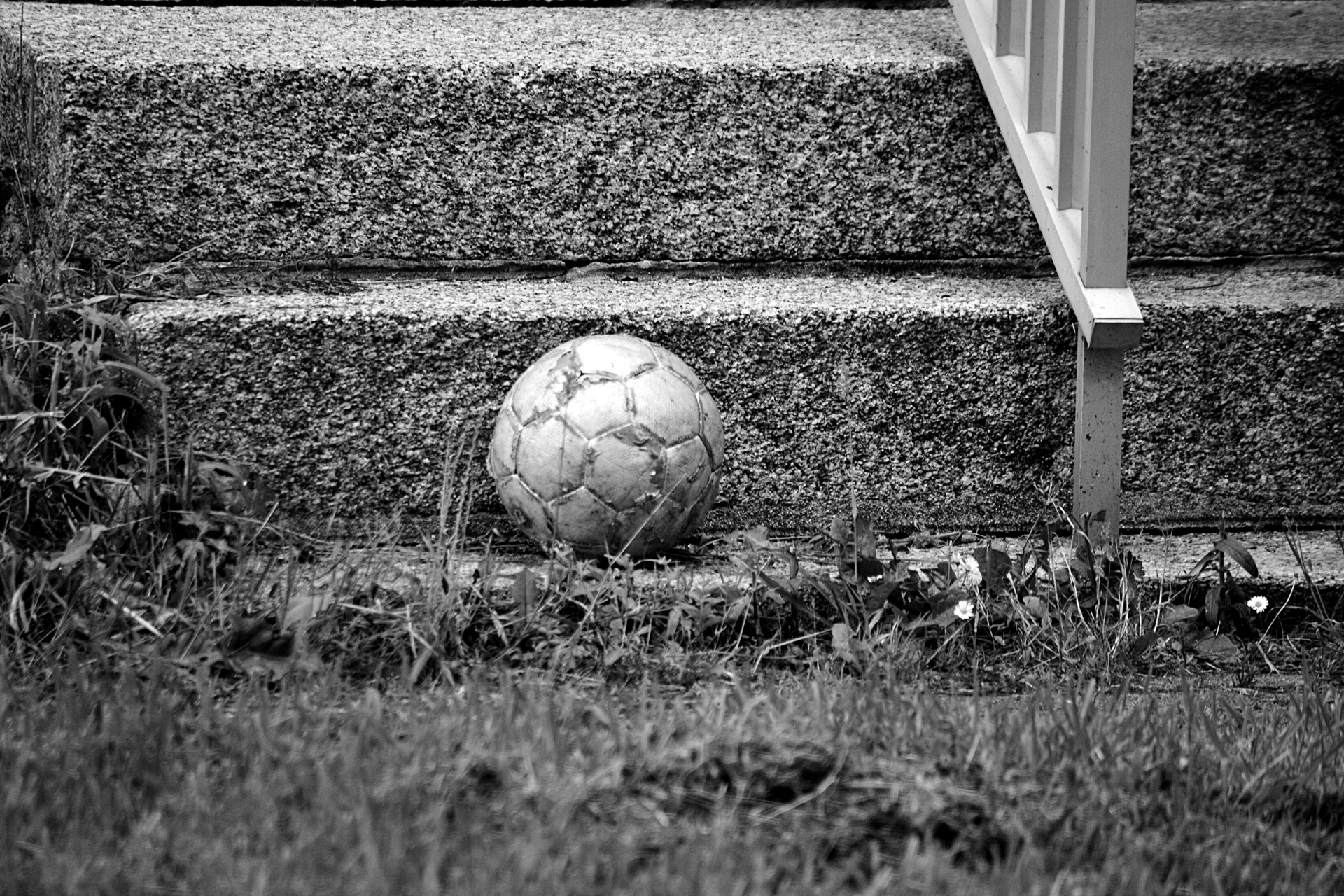 ball play black white free photo