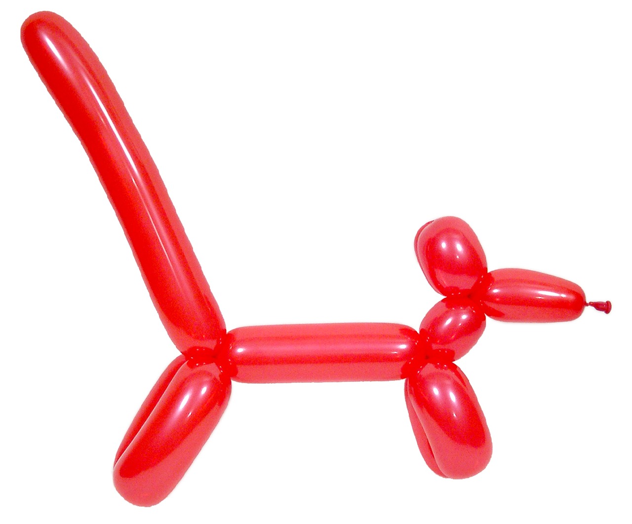 balloon sculpture dog free photo