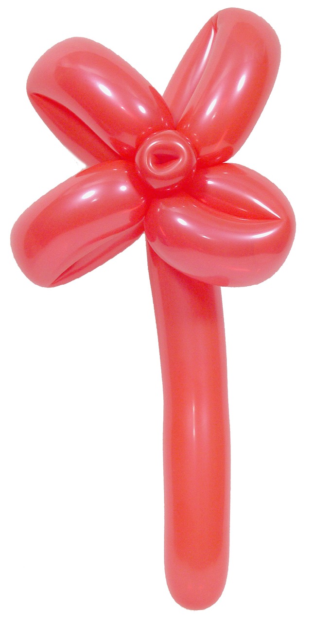 balloon sculpture flower free photo