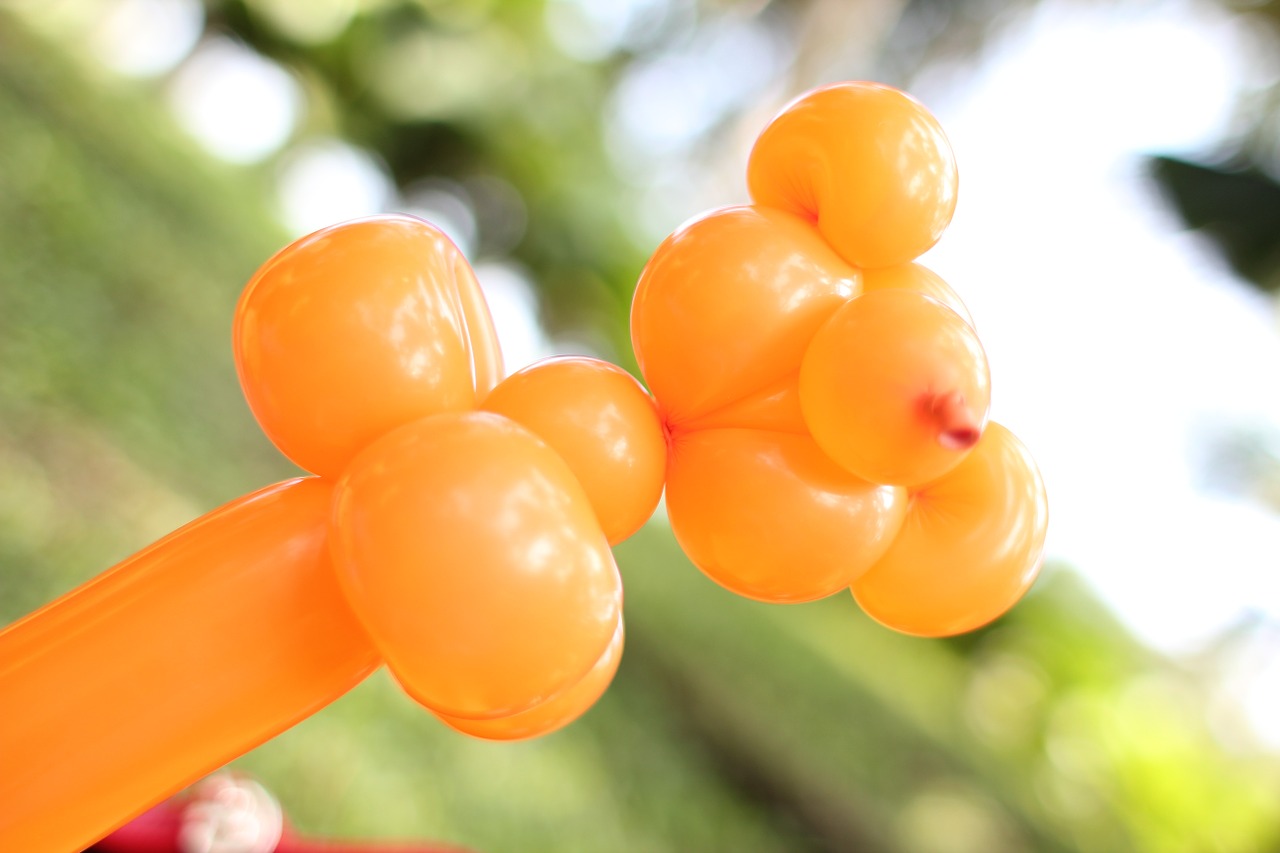 balloon bear toy free photo