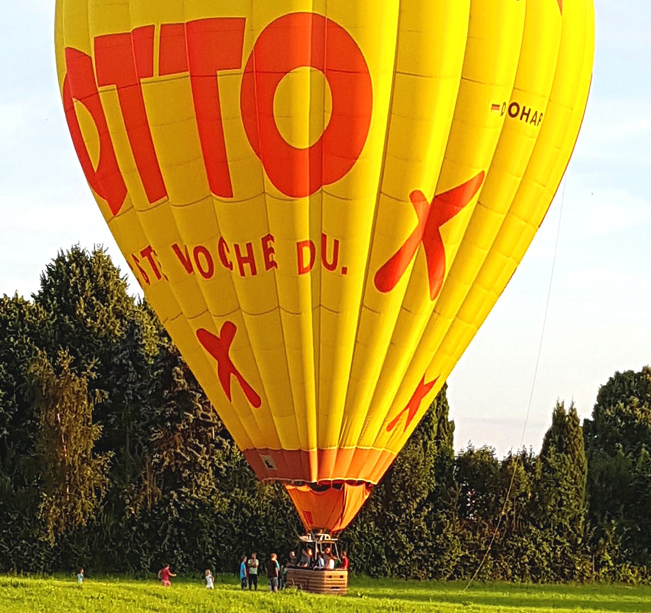 balloon trees hot air balloon free photo