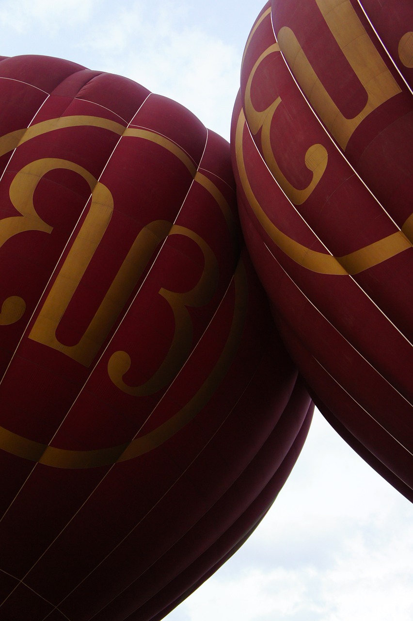 balloon hot air balloon ride detail free photo