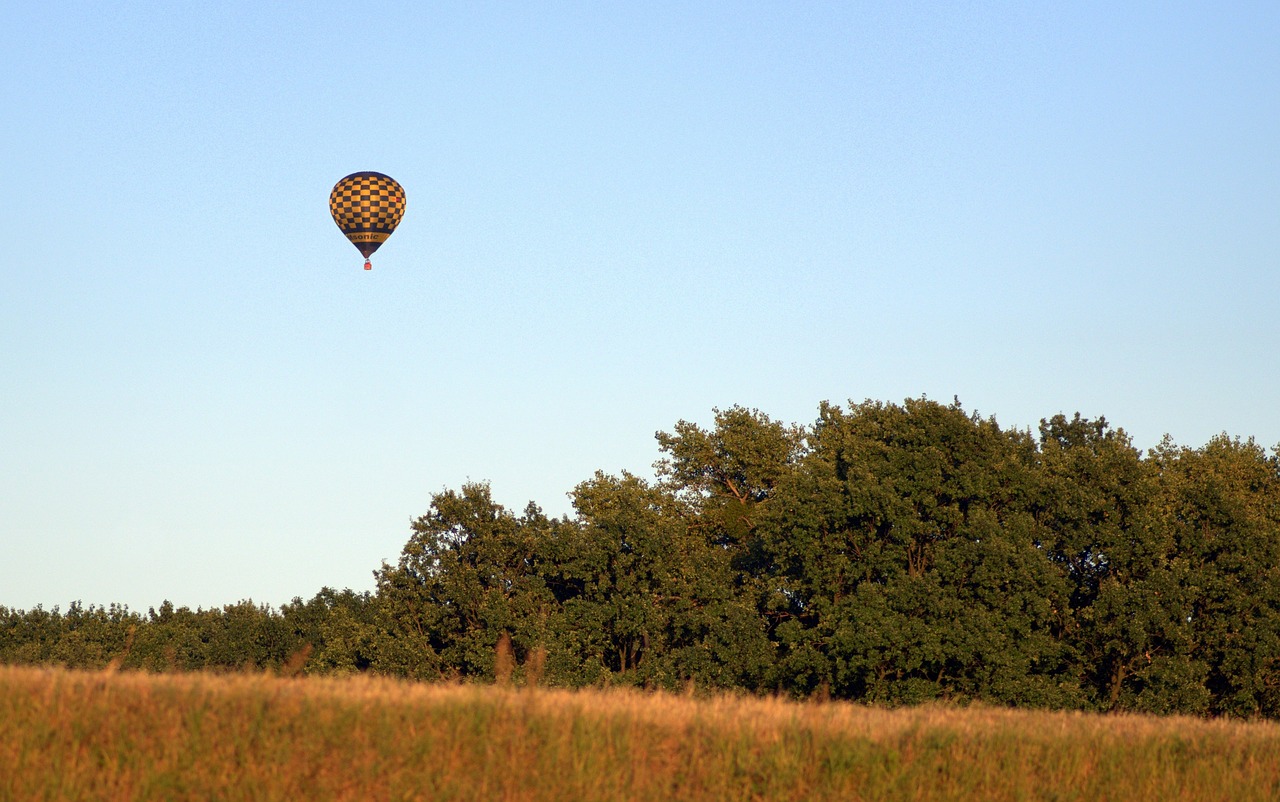 balloon meadow forest free photo