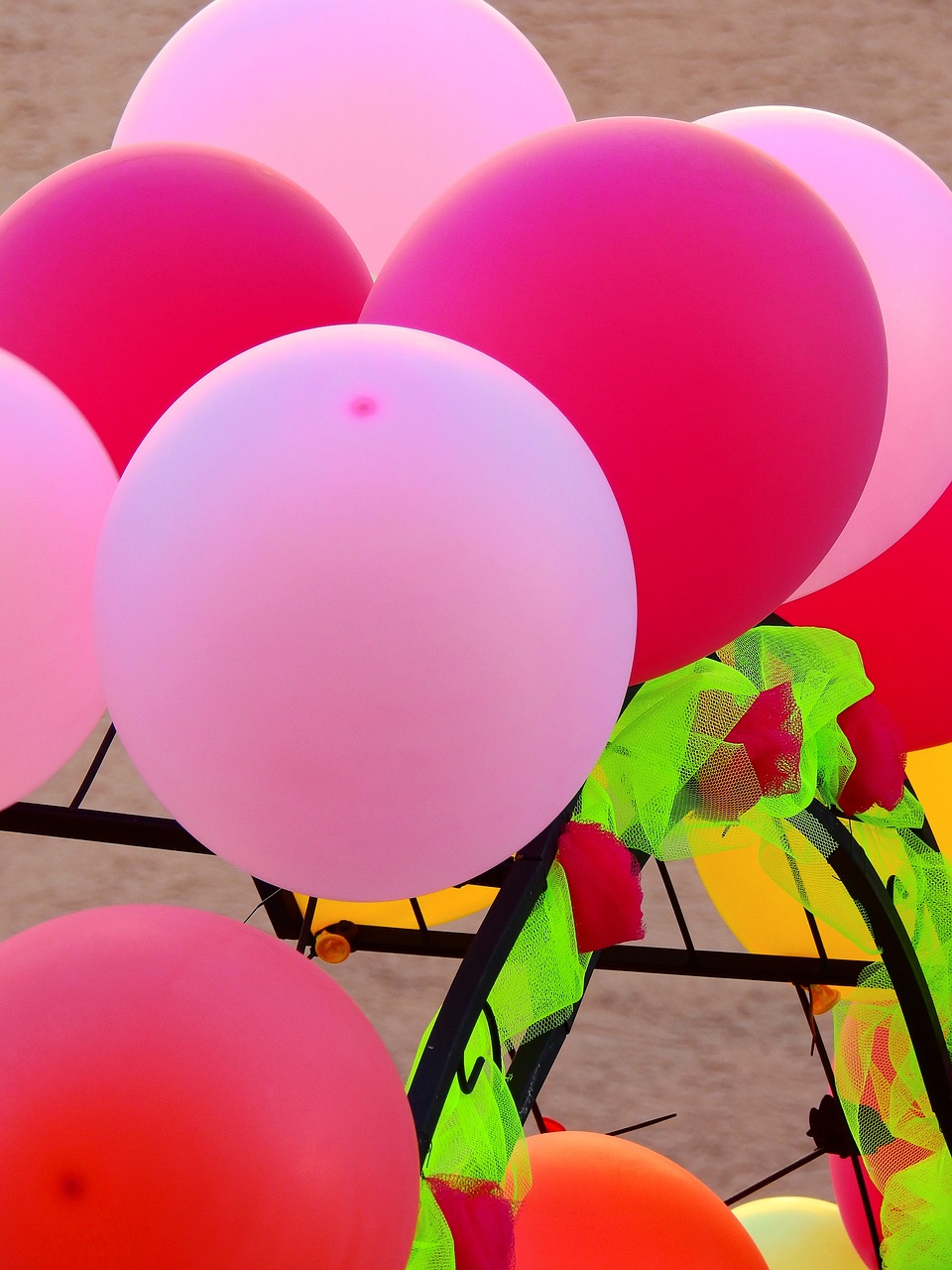 balloon pink party free photo