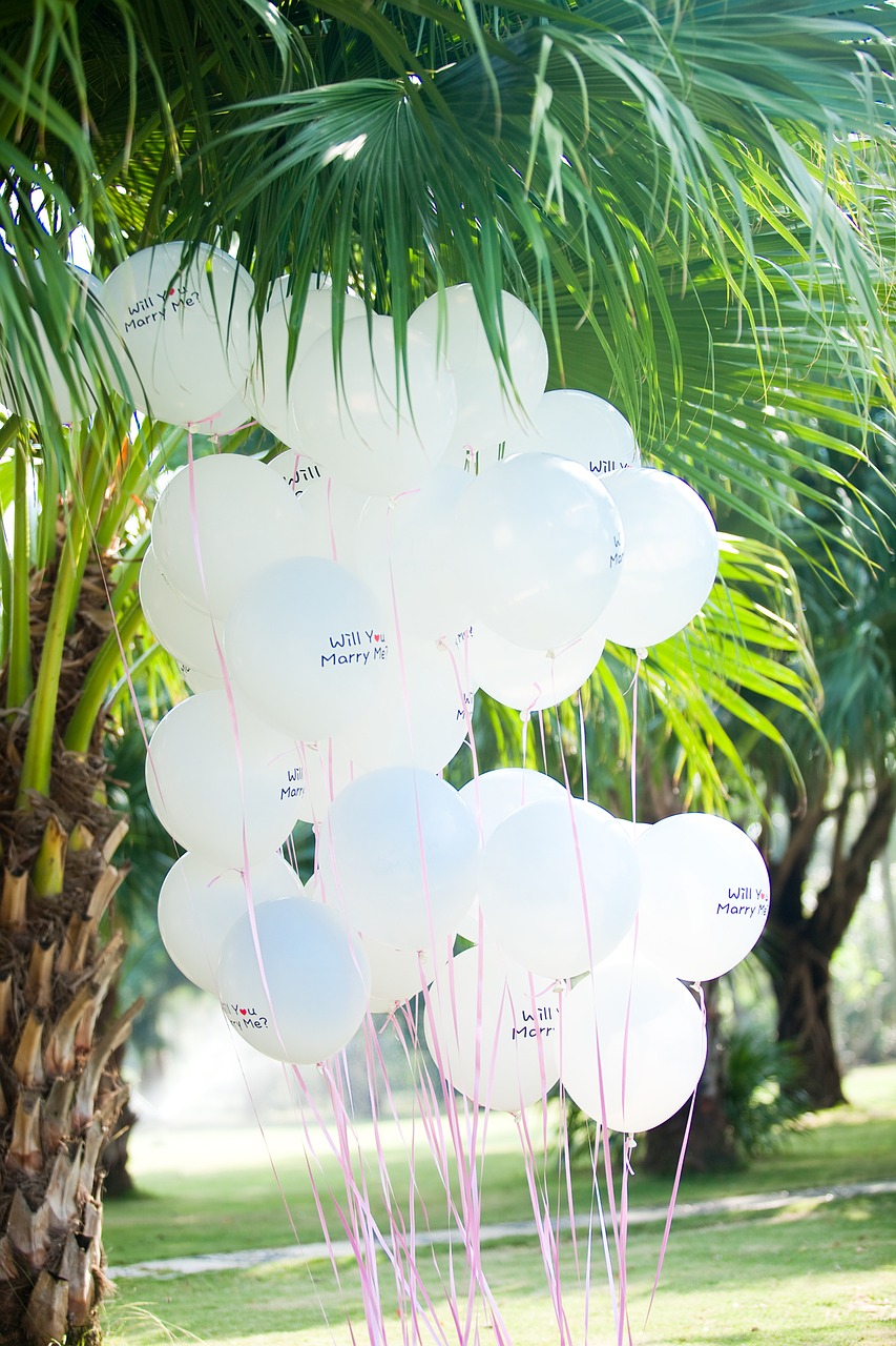 balloon wedding white and green free photo