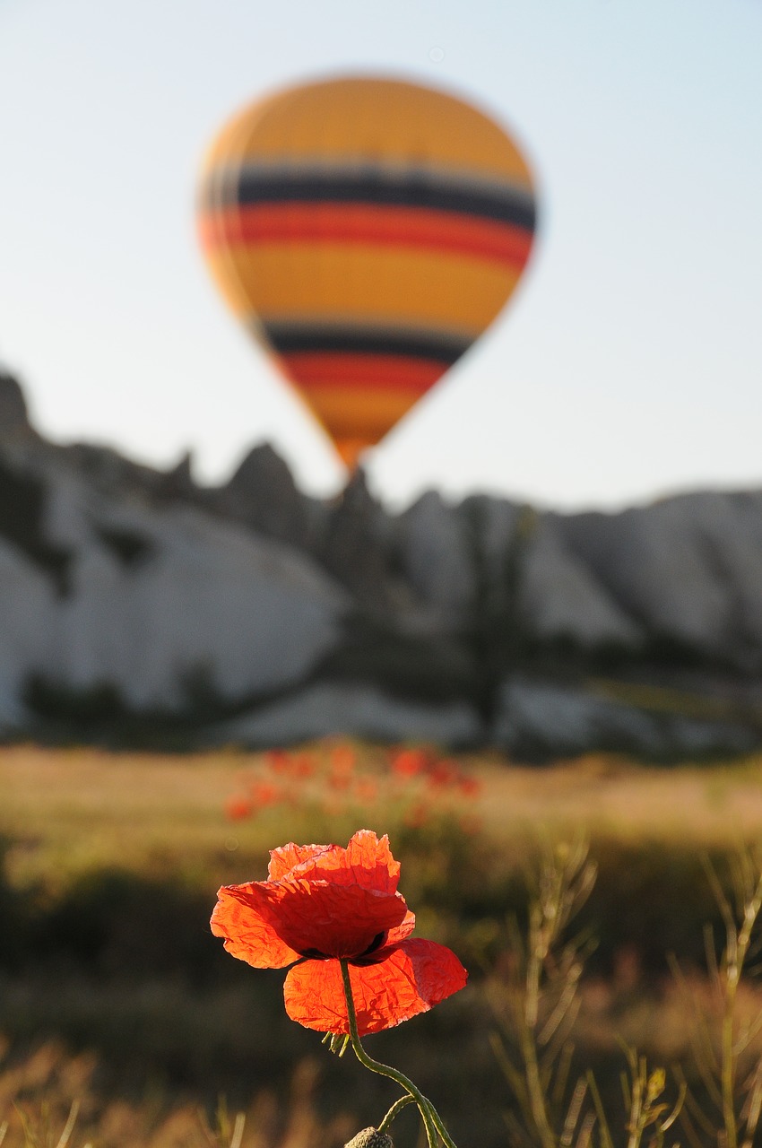 balloon ballooning cappadocia free photo