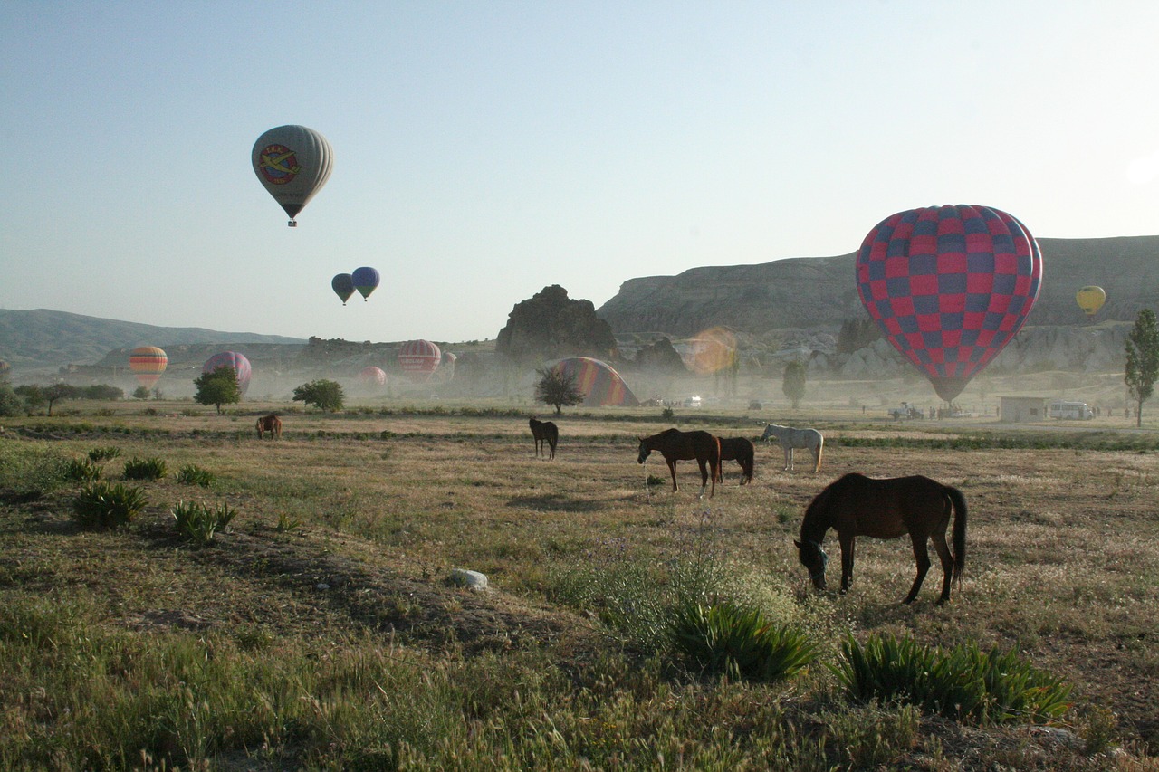 balloon balloons ballooning free photo