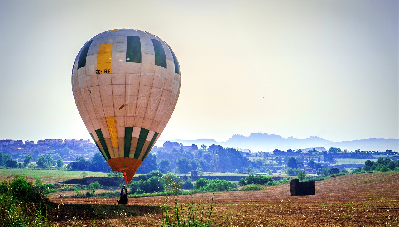 balloon  aerostatic  fly free photo