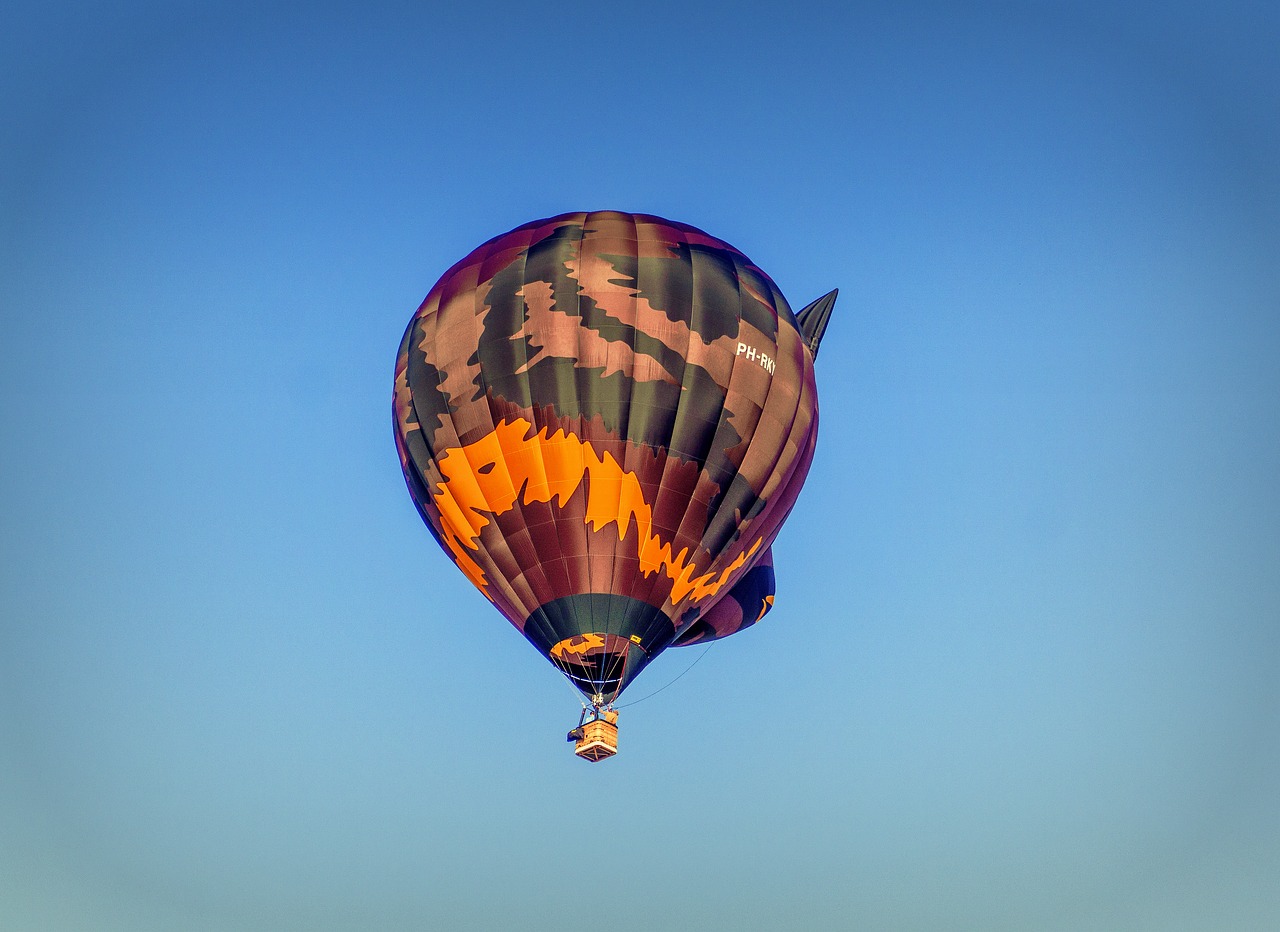 balloon  aerostatic  fly free photo