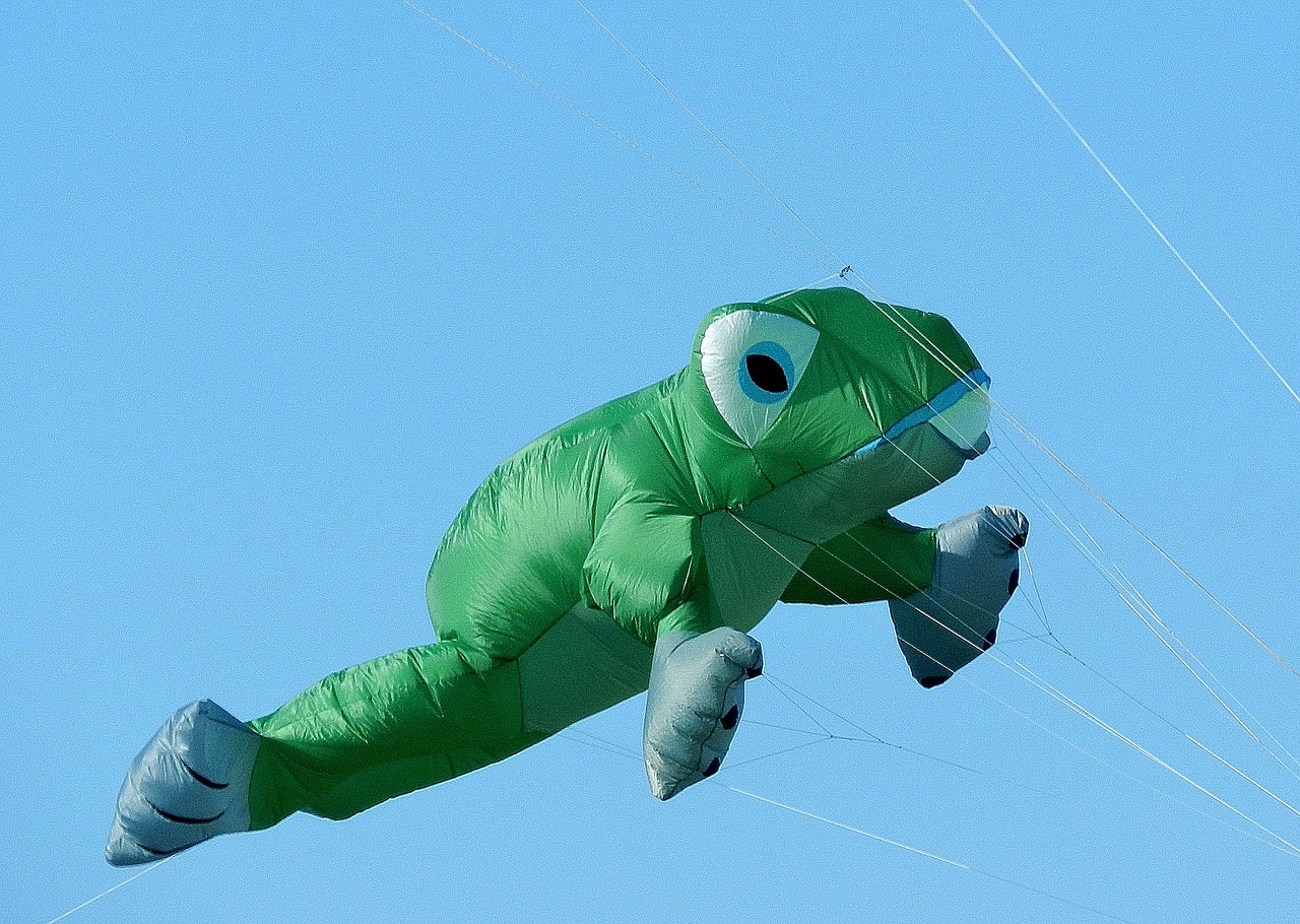 balloon dragons frog free photo