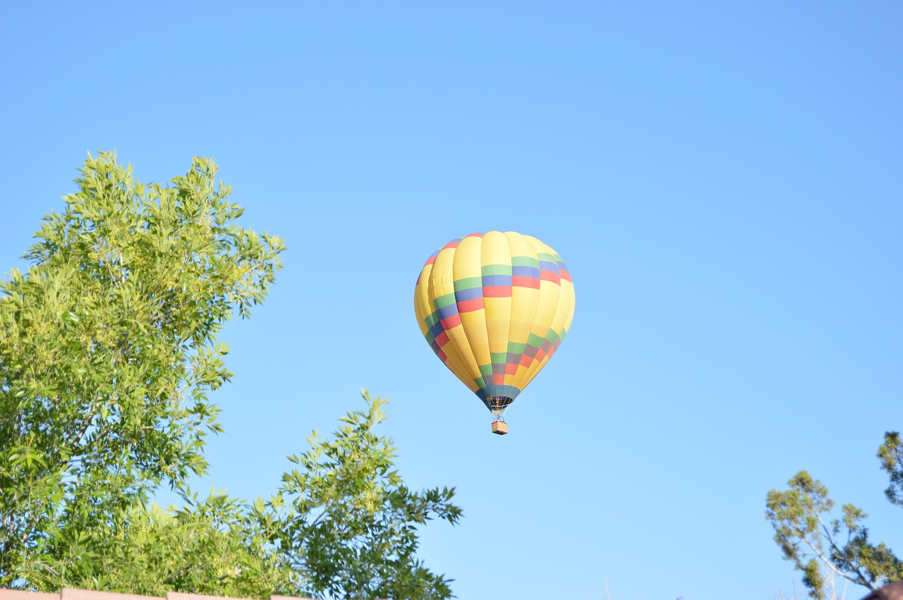 balloon  sky  trees free photo