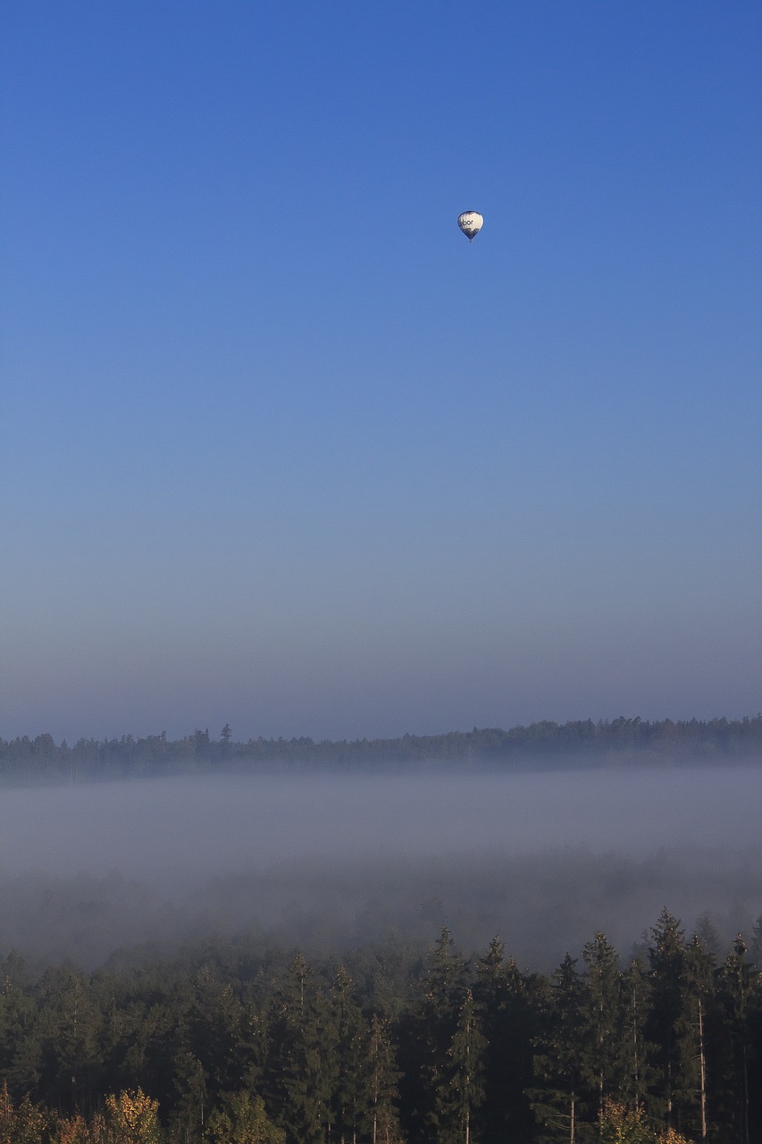 balloon  morgenstimmung  fog free photo