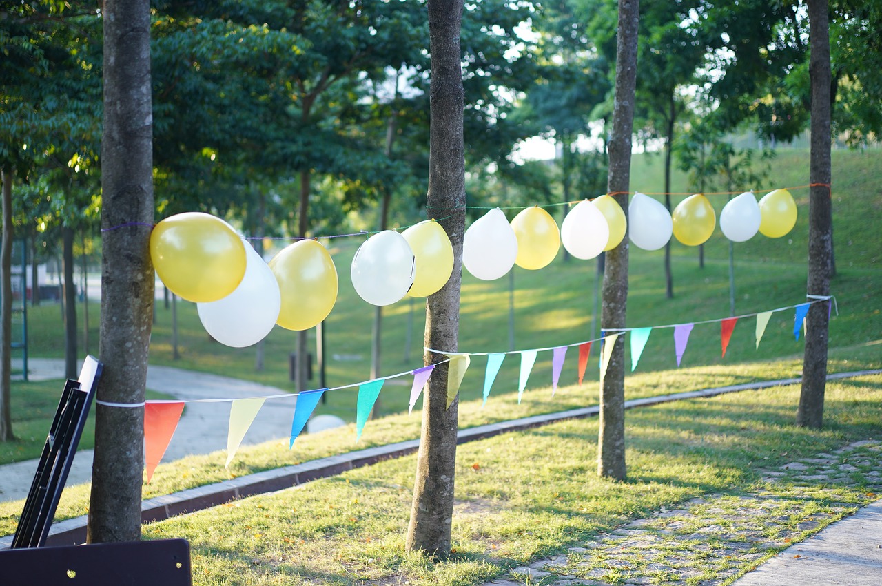 balloon  party  nature free photo