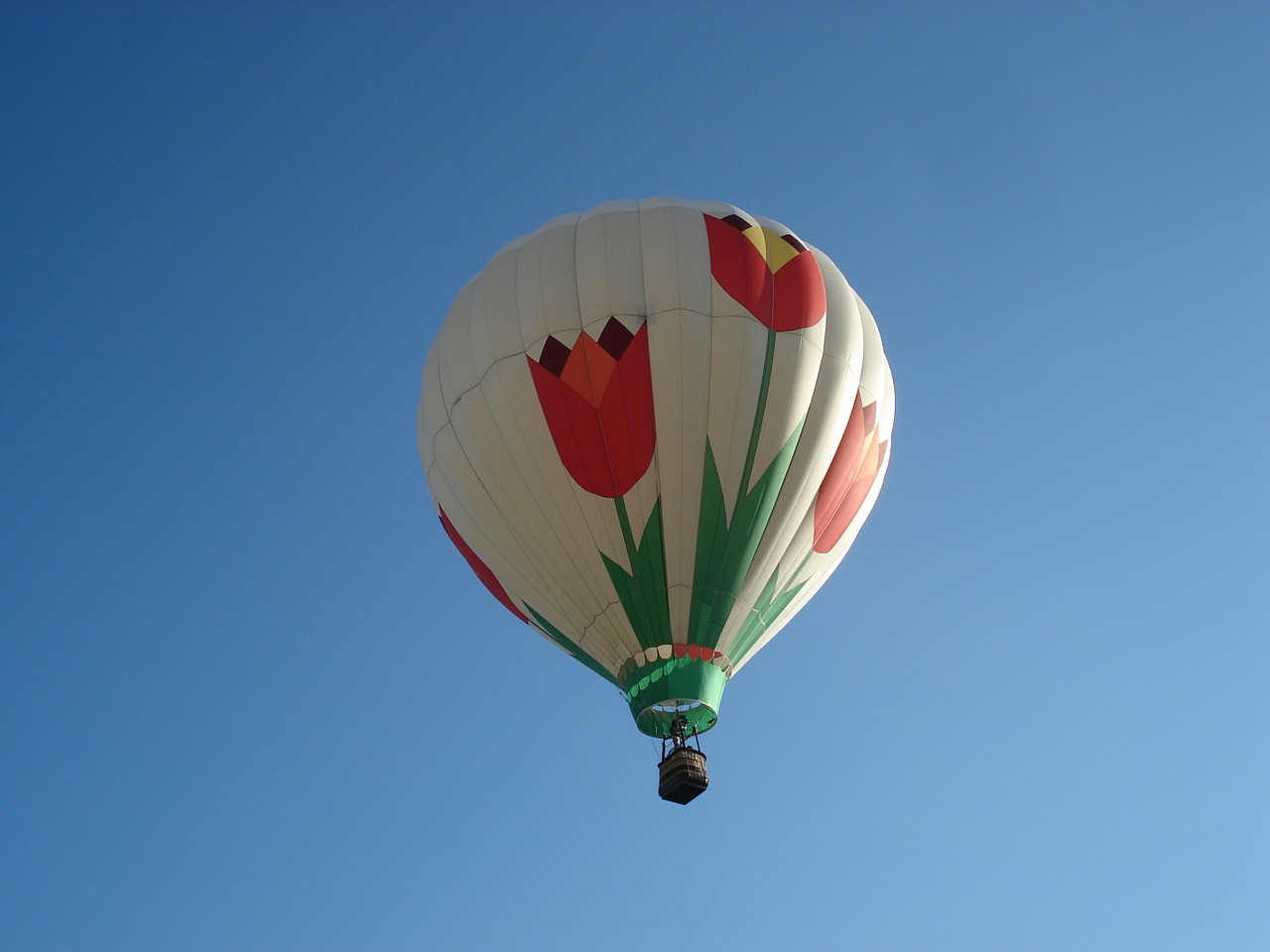 balloon sky tulips free photo