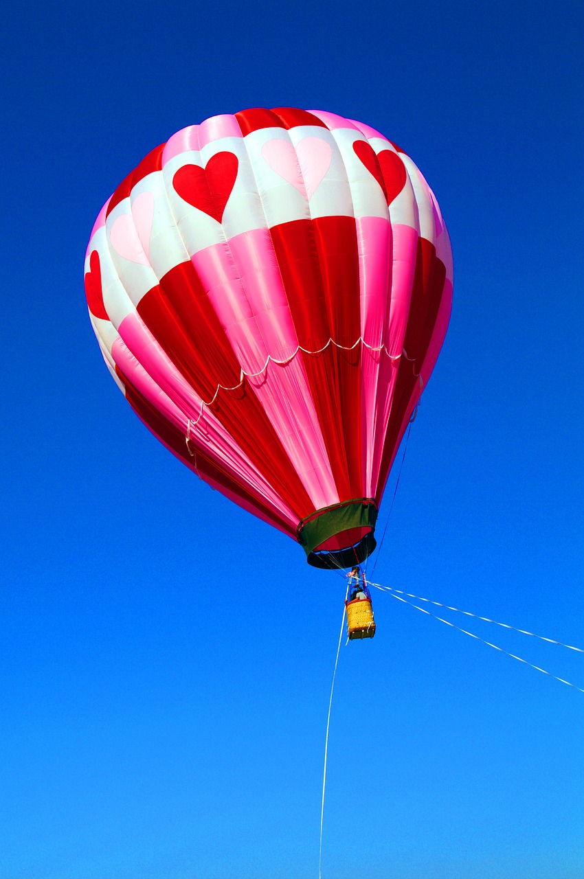 balloon hot air balloon air free photo