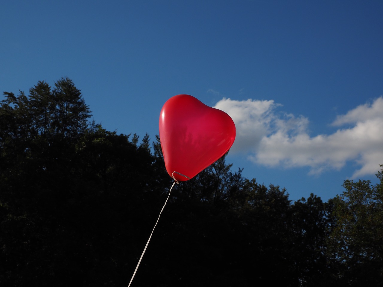 balloon heart heart shaped free photo