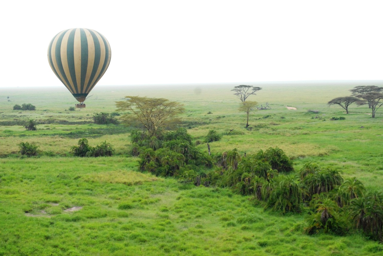 balloon serengeti tanzania free photo