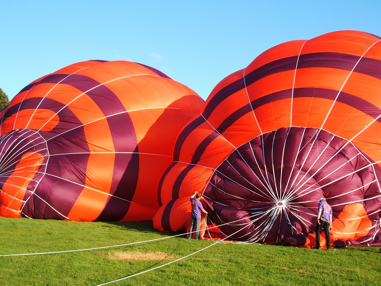 balloon grass air free photo