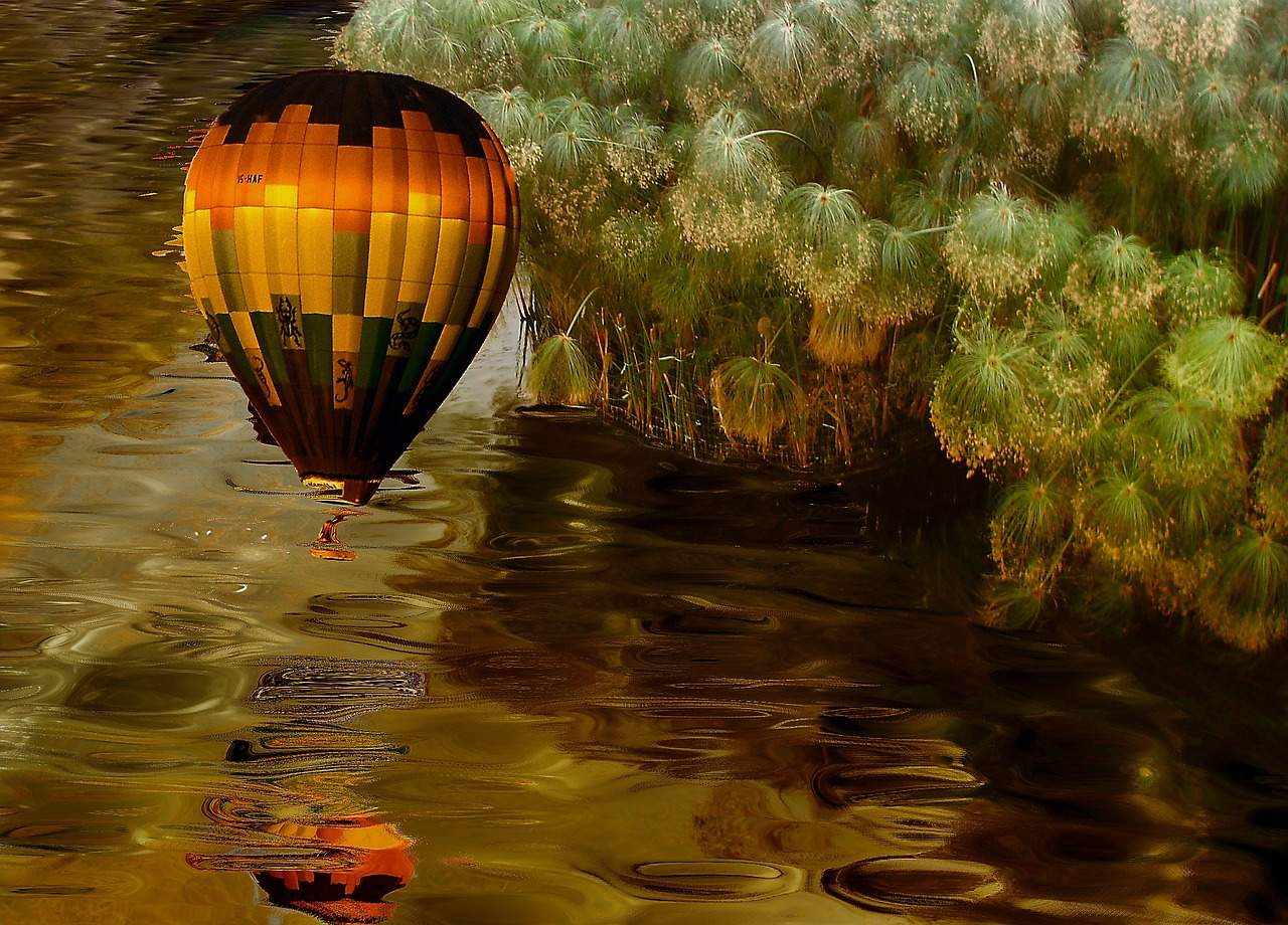 balloon water vegetation free photo