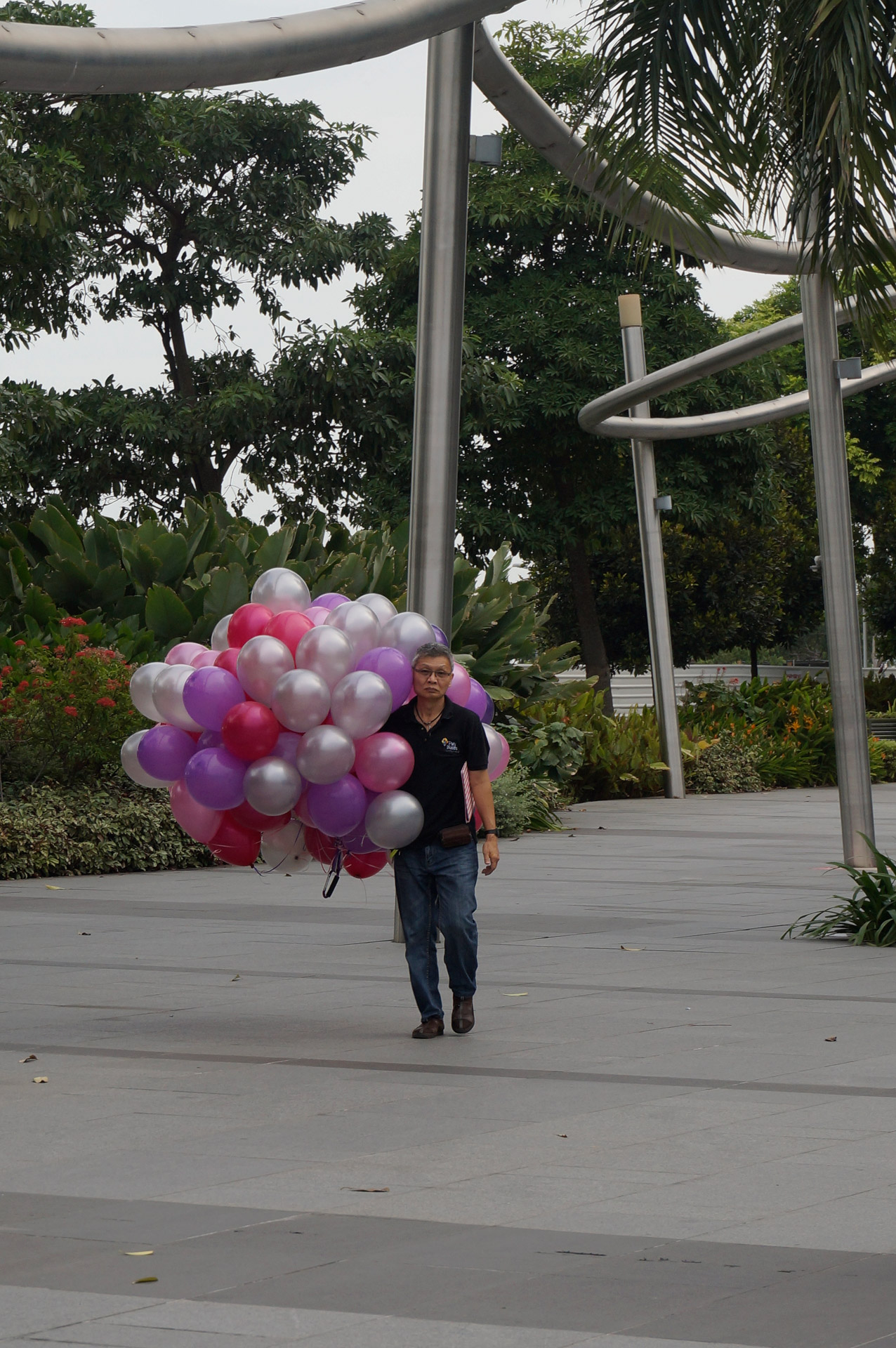 balloons sell balloons balloon man free photo